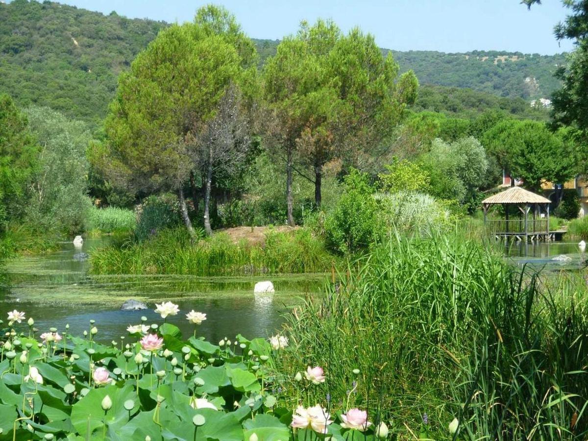 Les Restanques 1066 Jacynthe Vue Mer Grimaud Bagian luar foto